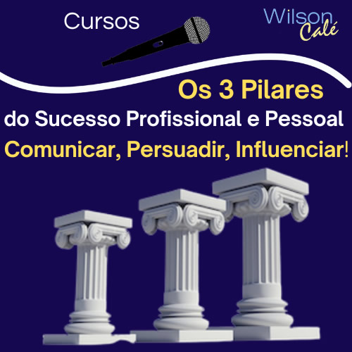 Os 3 Pilares do Sucesso Profissional e Pessoal - Comunicar, Persuadir, Influenciar!