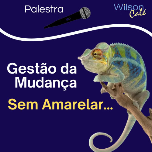 Gestão da Mudança, Sem Amarelar